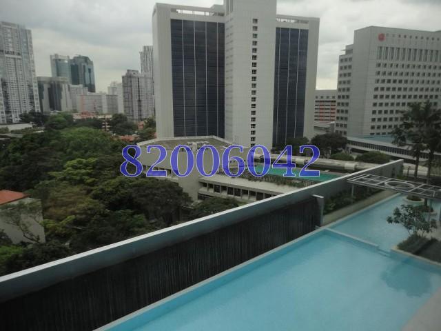The Clift (D1), Apartment #161061272